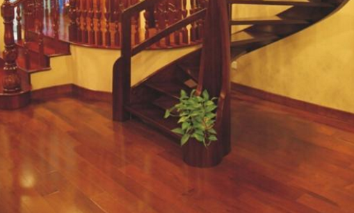 菠萝格 1.png 菠萝格 1.png