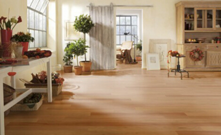 白蜡木4.png 白蜡木4.png