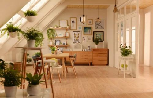 实木地板 实木地板