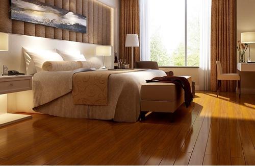 圆盘豆2 圆盘豆2