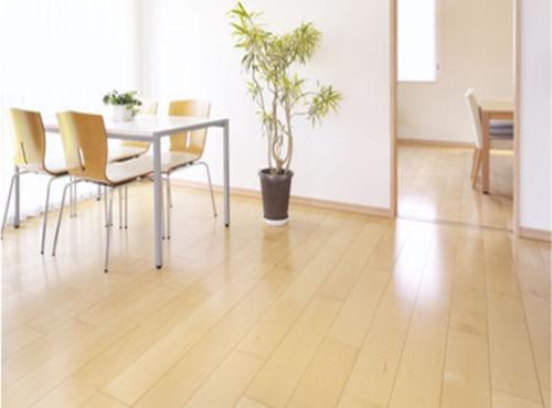 枫木地板1.jpg 枫木地板1.jpg