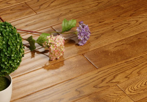 栎木1.png 栎木1.png