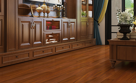 圆盘豆9.png 圆盘豆9.png