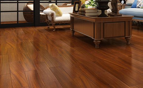 圆盘豆8.png 圆盘豆8.png