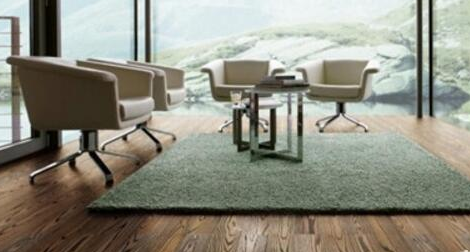 白蜡木1.png 白蜡木1.png