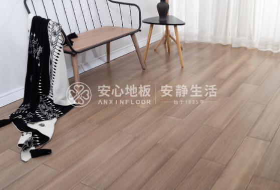 圆盘豆1.png 圆盘豆1.png