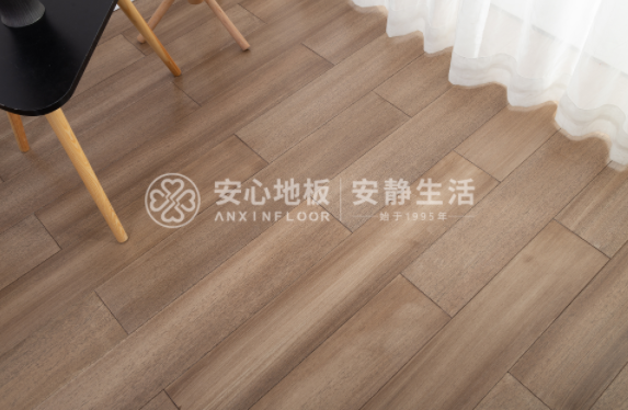 圆盘豆2.png 圆盘豆2.png