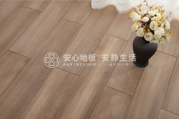 圆盘豆3.png 圆盘豆3.png