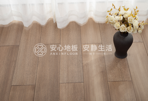 圆盘豆5.png 圆盘豆5.png